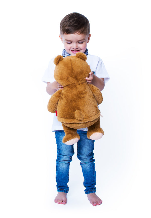 Cubbies Theodore Signature Bear