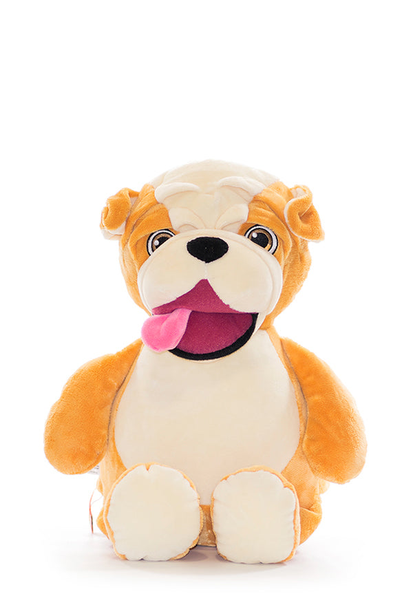 The Bulldog - loves to play
